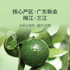 头采小青柑茶  ｜新会核心产区茶枝柑+云南普洱 正宗新会老树采摘 柑香千里 茶香满溢双香融合 解腻养生 一颗泡一天 自饮送礼皆宜 商品缩略图3