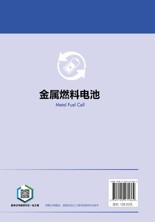 先进电化学能源存储与转化技术丛书--金属燃料电池 商品图4