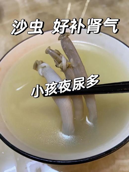 xm-当季新鲜沙虫，这个你有钱市场上不一样的买的到的一款👏特别适合熬夜上火的朋友多吃 商品图5