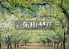 1日｜东山梨花｜京城边陲的“香雪海”の东山贡梨园～东山古道环穿｜13公里 商品缩略图0