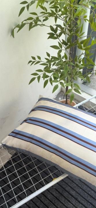 直发 品牌尾单【100支长绒棉枕一对】 商品图7