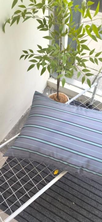 直发 品牌尾单【100支长绒棉枕一对】 商品图6