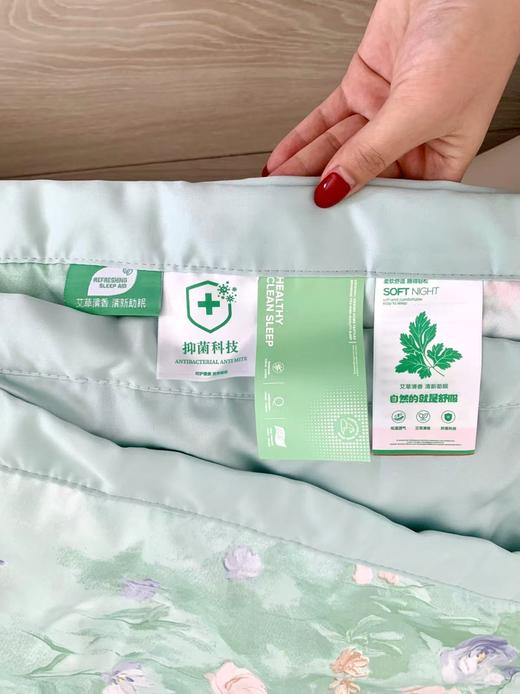 品牌直发‼️【浪莎艾草水洗凉感丝空调被四件套】清凉舒适、亲肤透气，裸睡也超舒服❗️ 某宝价💰600+ 今天开团价仅需💰139 ✅精选水洗天丝面料，上身凉而不冰，全身瞬间清爽 商品图5