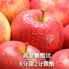 三蒸三烘静宁苹果干 商品缩略图1