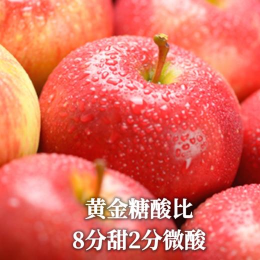 三蒸三烘静宁苹果干 商品图1