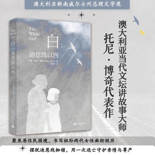 白：迪恩线以西（澳大利亚当代文坛讲故事大师 托尼·博奇代表作 获澳大利亚新南威尔士州总理文学奖 聚焦原住民困境 书写祖孙两代女性曲折经 商品图0