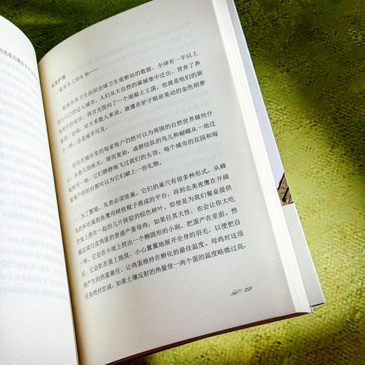 简单生活的甜蜜 源于大自然的智慧 植物学界的珍·古道尔 献给普通人的健康生活指南 商品图11