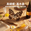 TOI 图益时光琥珀儿童手工 DIY 滴胶蝴蝶标本制作玩具礼物 商品缩略图2