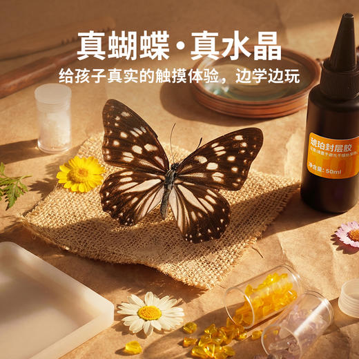 TOI 图益时光琥珀儿童手工 DIY 滴胶蝴蝶标本制作玩具礼物 商品图2
