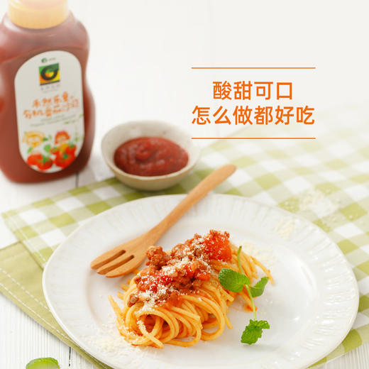 禾然乐童有机番茄沙司320g 商品图4