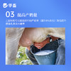 华畜 母子康肥 促进生长 提高饲料利用率 改善繁殖性能 商品缩略图5