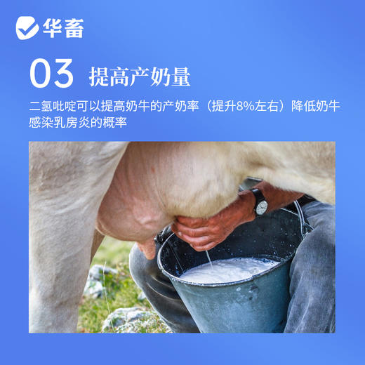 华畜 母子康肥 促进生长 提高饲料利用率 改善繁殖性能 商品图5