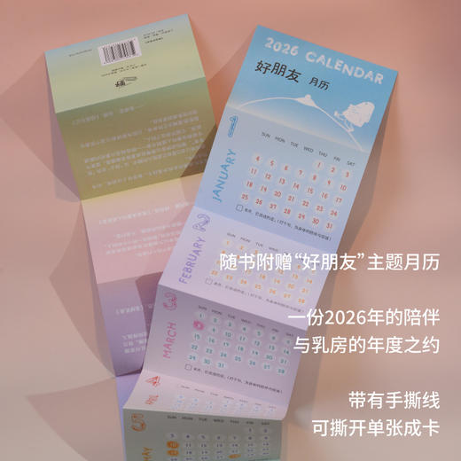 癌症好朋友（金漫奖得主作品，治愈系纪实漫画，赠2026“好朋友”月历：东亚女儿用幽默拆解家庭关系 商品图3