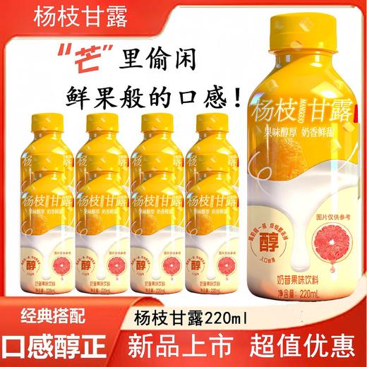 【便携即饮！清爽不腻】杨枝甘露港式经典风味复合果汁饮料芒果蔬汁不腻营养解渴。xb 商品图1