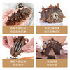 2288型-鲜食海参礼盒 商品缩略图3