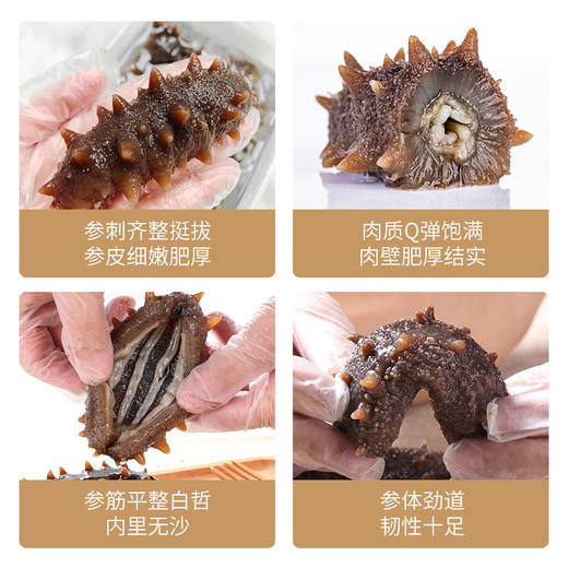 2288型-鲜食海参礼盒 商品图3