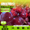 新疆车厘子 大樱桃 应季水果 商品缩略图0