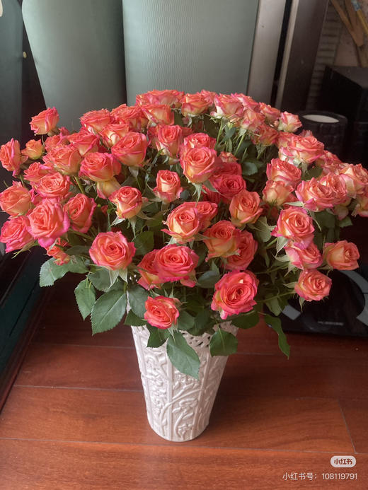 预售15号到货 多头玫瑰爱丽丝一扎10支 一支多头，支长60厘米 商品图0