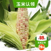 2026年花生 玉米 蔬菜认领开始啦    自有基地   亲子农耕体验活动 详询客服 商品缩略图4