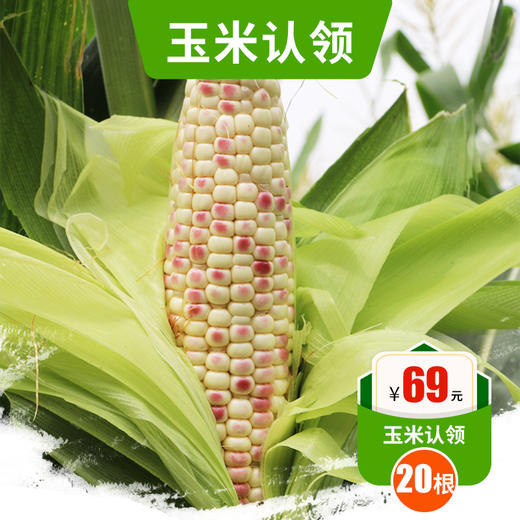 2026年花生 玉米 蔬菜认领开始啦    自有基地   亲子农耕体验活动 详询客服 商品图4