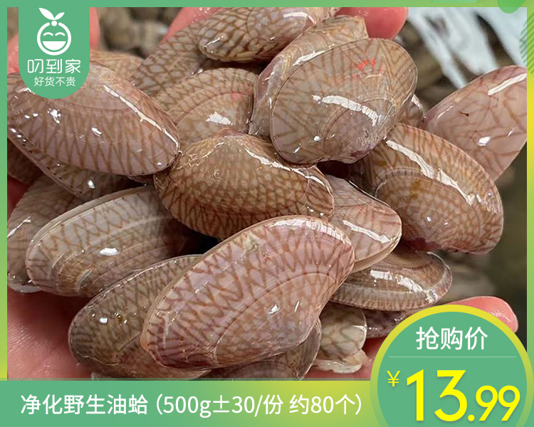 净化野生油蛤（500g±30/份 约80个）