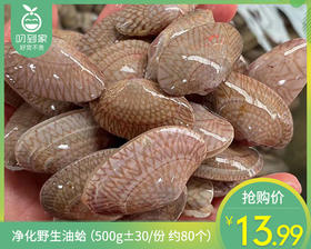 净化野生油蛤（500g±30/份 约80个）