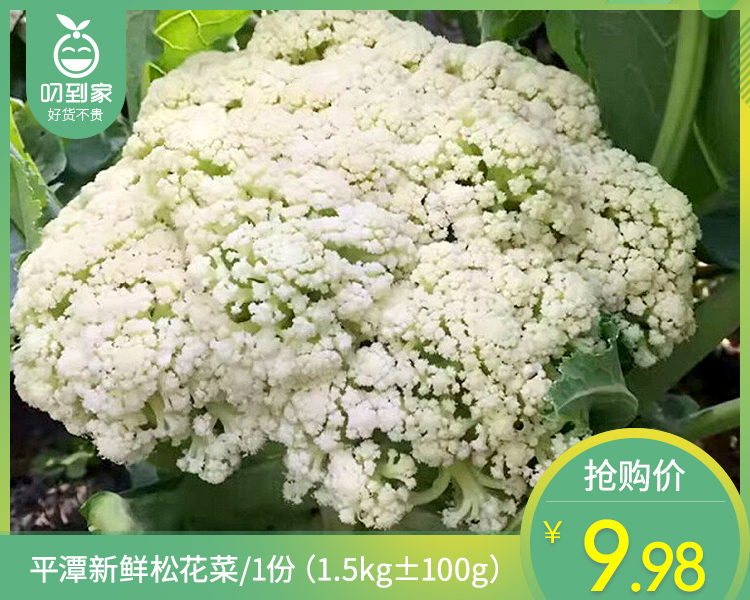 【叼鲜蔬】平潭新鲜松花菜/1份（1.5kg±100g）