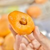 丨有机丨米易高山枇杷 四川攀枝花米易县无污染山地种植 商品缩略图3
