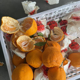 换袋 粑粑柑🍊 9中果 口感纯甜 19.9/5斤