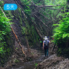 长白山脉秘境穿越 | 北坡天池 原始森林 15公里轻徒步 | 5日 商品缩略图4