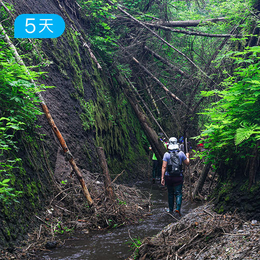 长白山脉秘境穿越 | 北坡天池 原始森林 15公里轻徒步 | 5日 商品图4