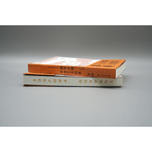 烟草计划：徐冰艺术档案 巫鸿×徐冰，两位大师联手，代表中国当代艺术最高智性与创造力的里程碑之作！ 商品图6