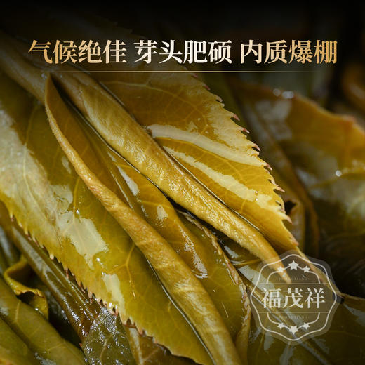2026年头春景迈单株300年原生古茶树 世遗古茶林百年单株巅峰兰韵 357克/饼 商品图4