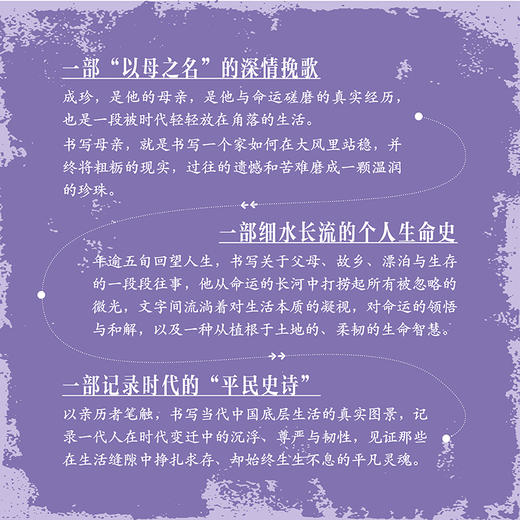 成珍 “外卖诗人”王计兵首部非虚构文集，成珍，是母亲的名字，也是王计兵与命运磋磨的真实经历 商品图1