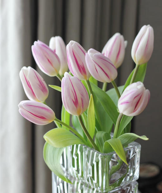 预售15号到货 超美的郁金香米老鼠 一扎10支 支长35厘米 商品图2