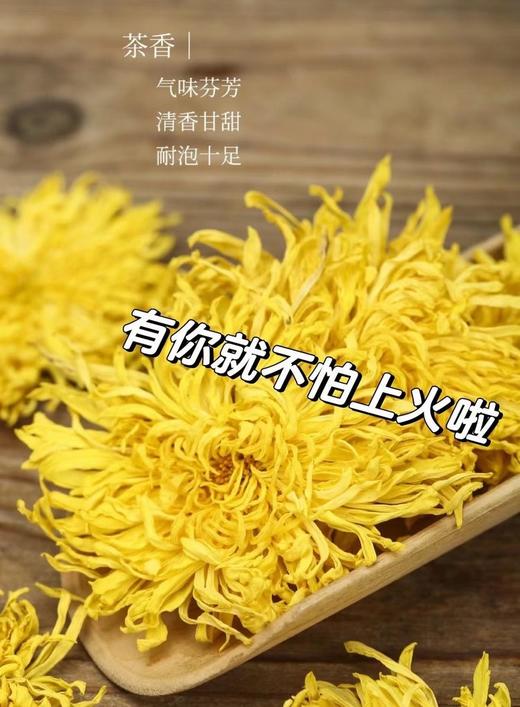 二店f 杞里香金丝皇菊 商品图4