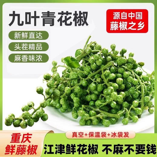 青花椒新鲜350g重庆江津鲜藤椒四川特产现摘保鲜麻椒冷冻新鲜花椒 商品图1
