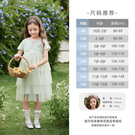 jellybaby儿童连衣裙公主裙中大童长裙女宝宝裙子女童网纱裙JQG62635★ 商品图3