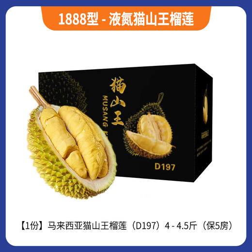 1888型-液氮猫山王榴莲 商品图0