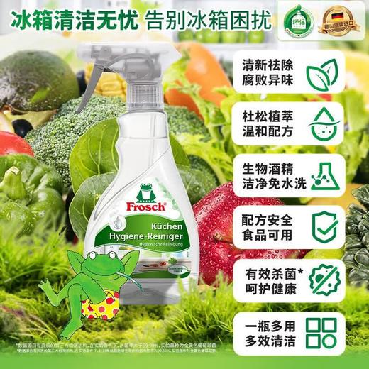 Frosch福纳丝 环保冰箱洁净除味喷剂300ml 商品图6
