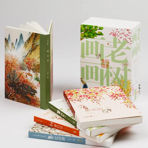 老树口碑力作《四季集锦》（全4册）| 收录老树500幅诗画作品，看完整个心都会静下来 商品图5