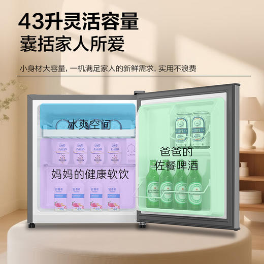 海尔（Haier）43L单门小户型冰箱一级能效抗菌净味三档可调银色 商品图6