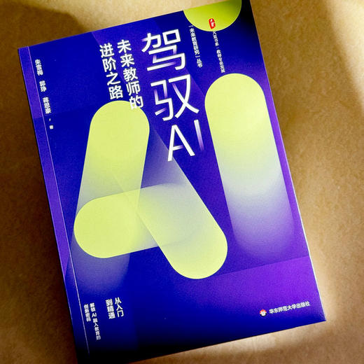 驾驭AI 未来教师的进阶之路 大夏书系 教师专业发展 商品图4