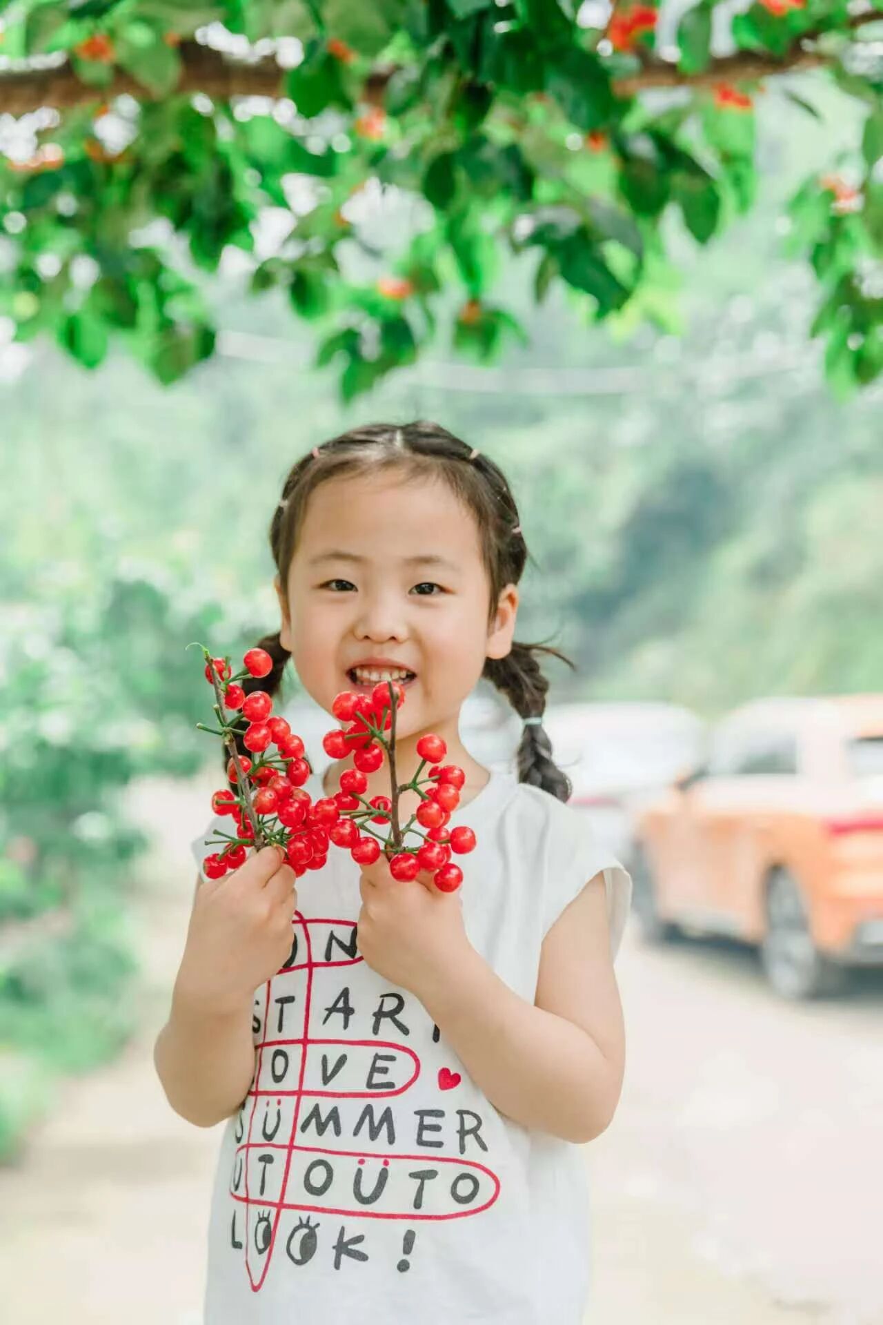 4.18已成团！彭州老鹰岩摘樱桃、挖笋、藤蔓秋千、木梯攀爬、绳索攀登、石板滩速降～