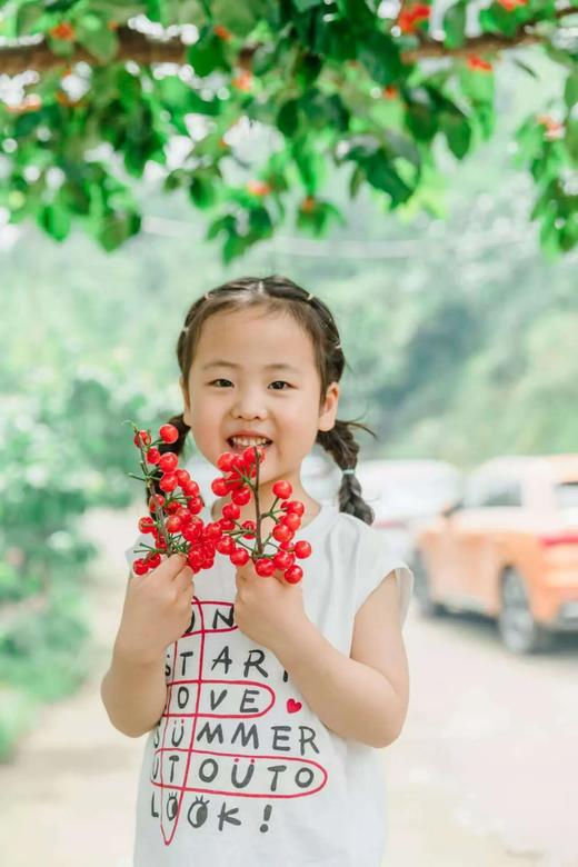 4.18已成团！彭州老鹰岩摘樱桃、挖笋、藤蔓秋千、木梯攀爬、绳索攀登、石板滩速降～ 商品图0