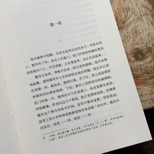 猴命:揭秘农村养老困境之书 老年版'活着' 商品图3