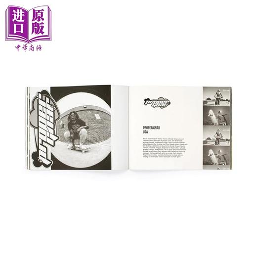 【中商原版】滑板贴纸书 含200张可撕贴纸 Skateboard Stickers 英文原版 Stickerbomb 商品图2
