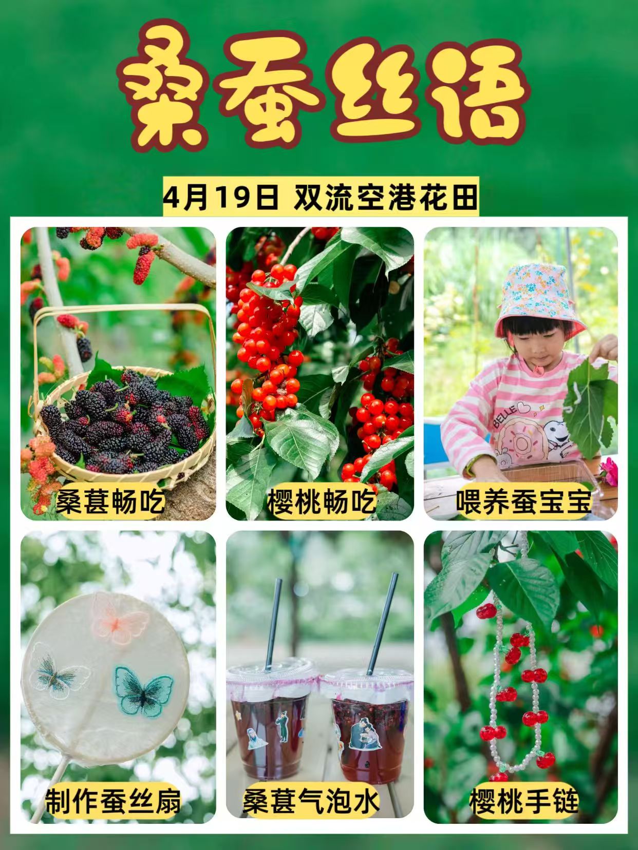 4.19（周日）【双流空港花田】桑蚕丝语亲子一日营：桑葚、樱桃畅吃，抽丝剥茧，制作蚕丝扇、喂养蚕宝宝、桑葚气泡水、樱桃手链diy