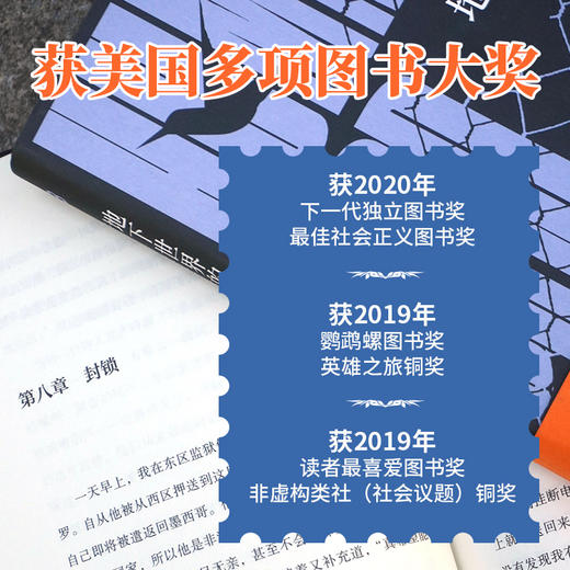 地下世界的蜂鸟（一部奏响私人记忆与囚徒困境交织的生命共鸣，获美国多项图书大奖） 商品图3