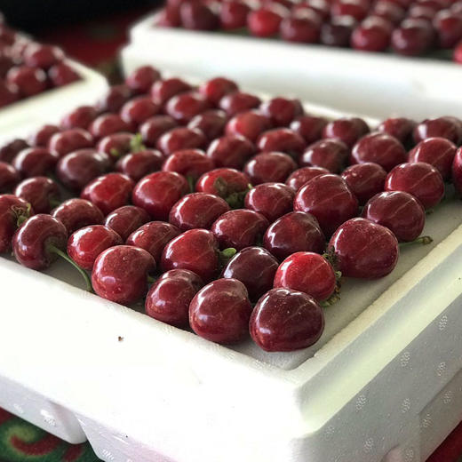 新疆车厘子 大樱桃 应季水果 商品图3